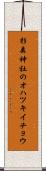 杉森神社のオハツキイチョウ Scroll