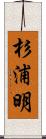 杉浦明 Scroll