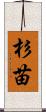 杉苗 Scroll