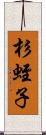 杉蛭子 Scroll