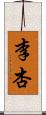 李杏 Scroll