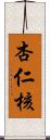 杏仁核 Scroll
