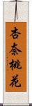 杏奈桃花 Scroll