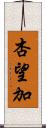杏望加 Scroll
