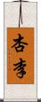杏李 Scroll