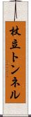 杖立トンネル Scroll
