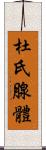 杜氏腺體 Scroll