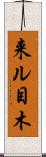 来ル目木 Scroll
