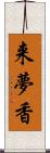 来夢香 Scroll