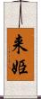 来姫 Scroll