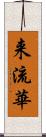 来流華 Scroll