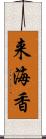 来海香 Scroll