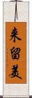来留美 Scroll