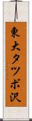 東大タツボ沢 Scroll