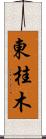 東桂木 Scroll