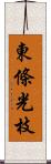 東條光枝 Scroll