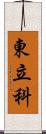 東立科 Scroll