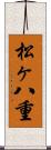 松ヶ八重 Scroll