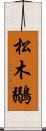 松木鶸 Scroll