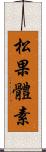 松果體素 Scroll