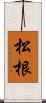 松根 Scroll