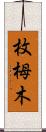 枚栂木 Scroll