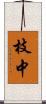 枝中 Scroll