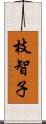 枝智子 Scroll