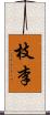 枝李 Scroll