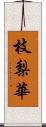 枝梨華 Scroll