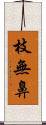 枝無鼻 Scroll