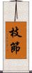 枝節 Scroll