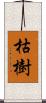 枯樹 Scroll