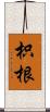 枳根 Scroll