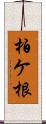 柏ケ根 Scroll