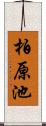 柏原池 Scroll