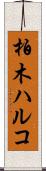柏木ハルコ Scroll