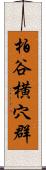 柏谷横穴群 Scroll