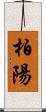 柏陽 Scroll