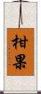 柑果 Scroll