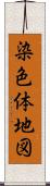 染色体地図 Scroll