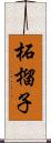 柘榴子 Scroll