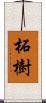 柘樹 Scroll