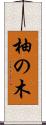 柚の木 Scroll