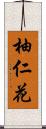 柚仁花 Scroll