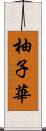 柚子華 Scroll