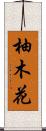 柚木花 Scroll
