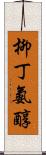 柳丁氨醇 Scroll