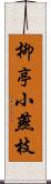 柳亭小燕枝 Scroll