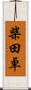 柴田卓 Scroll